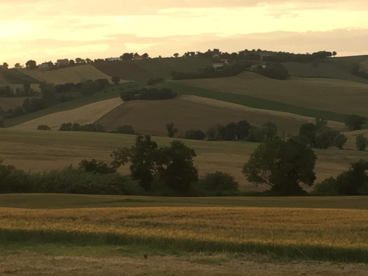 Il Giardino Nella Valle Belvedere Ostrense Экстерьер фото