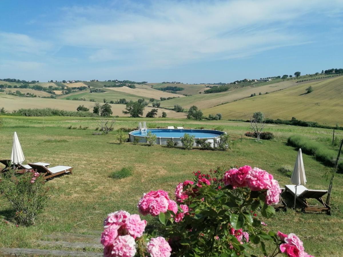 Il Giardino Nella Valle Belvedere Ostrense Экстерьер фото