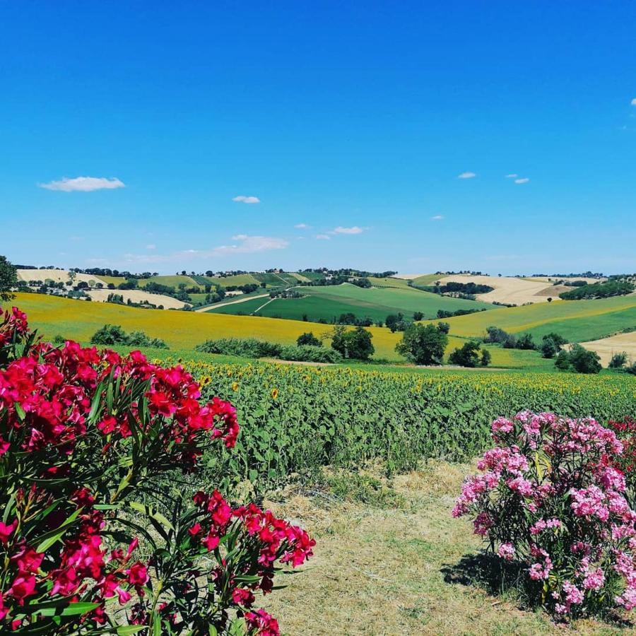 Il Giardino Nella Valle Belvedere Ostrense Экстерьер фото