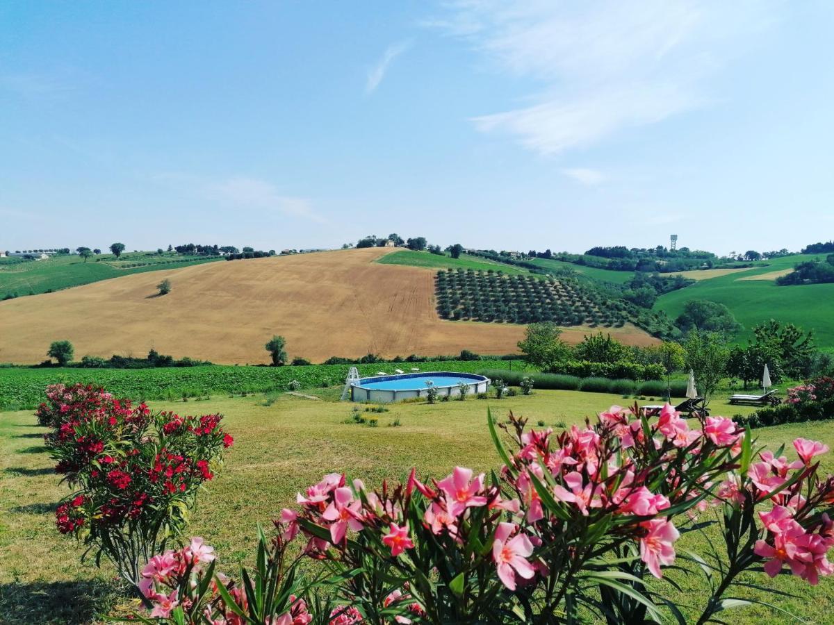Il Giardino Nella Valle Belvedere Ostrense Экстерьер фото