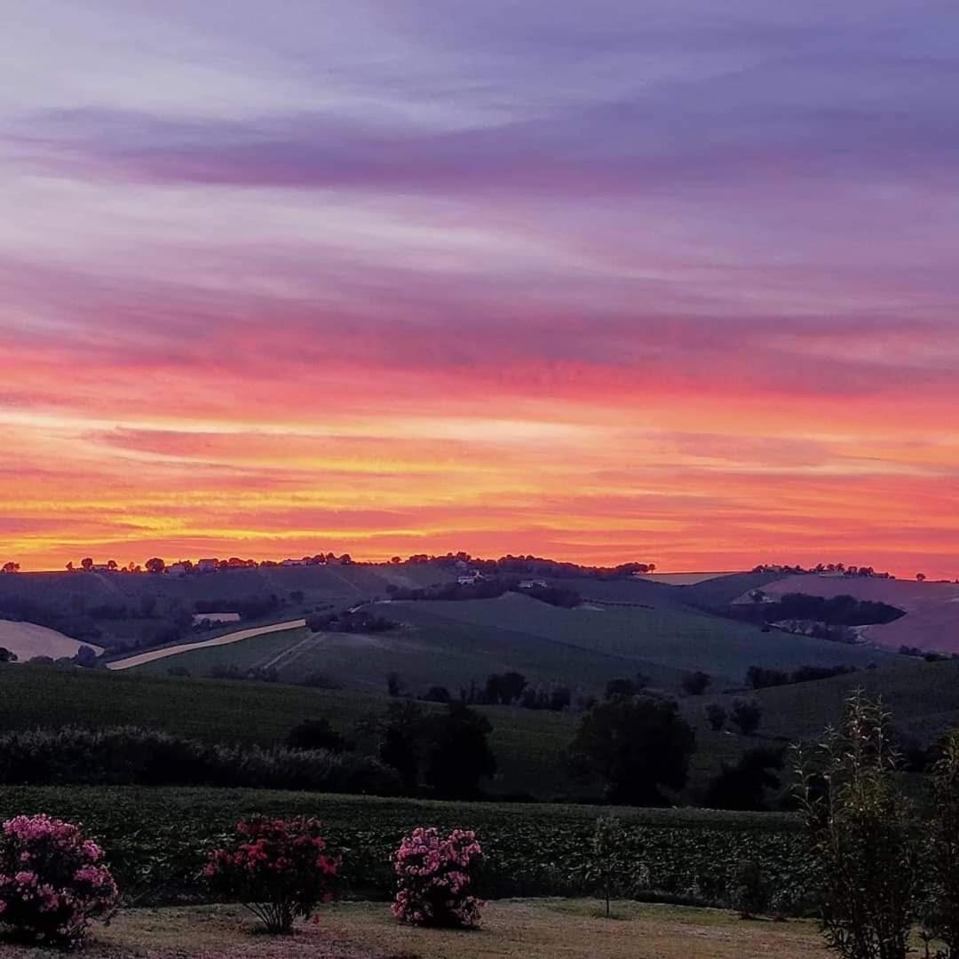 Il Giardino Nella Valle Belvedere Ostrense Экстерьер фото