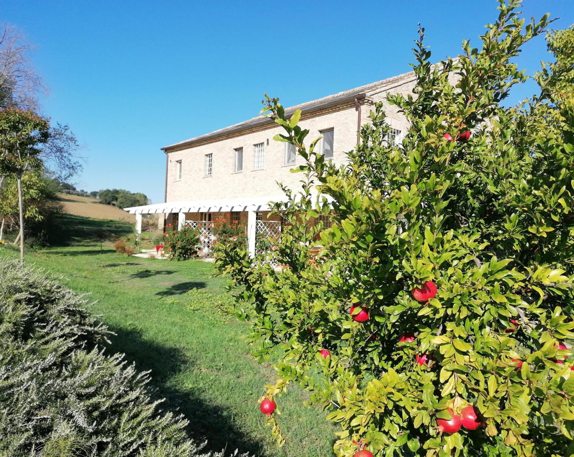Il Giardino Nella Valle Belvedere Ostrense Экстерьер фото