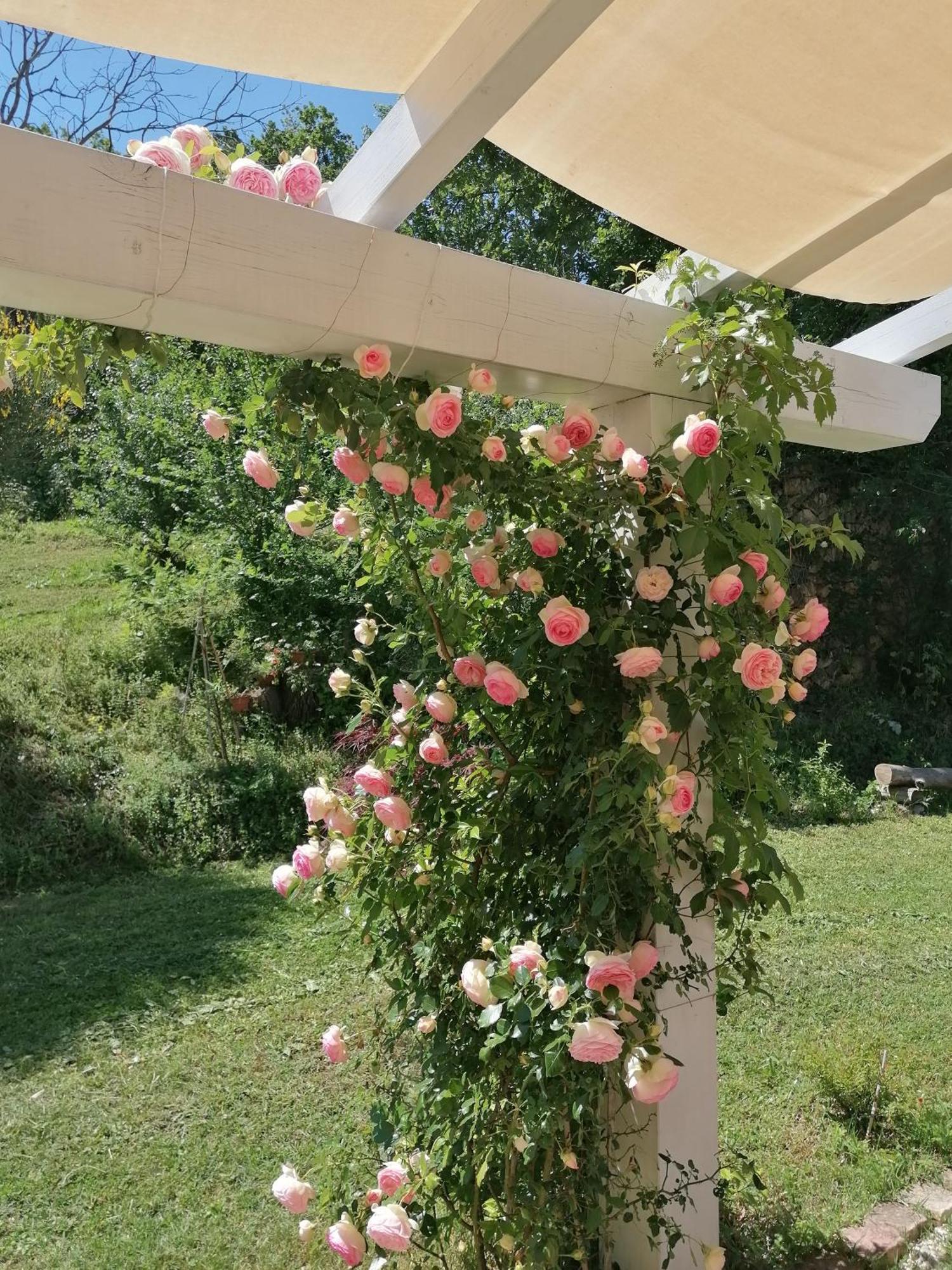 Il Giardino Nella Valle Belvedere Ostrense Экстерьер фото